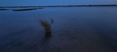 Enlarge photo 175