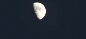 Enlarge photo 179
