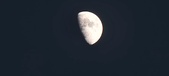 Enlarge photo 180