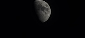 Enlarge photo 187