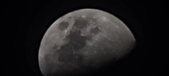 Enlarge photo 192