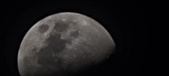 Enlarge photo 195
