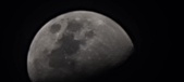 Enlarge photo 196