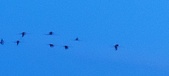 Enlarge photo 197