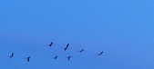 Enlarge photo 198