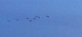 Enlarge photo 201