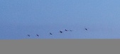 Enlarge photo 203