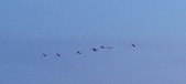 Enlarge photo 204