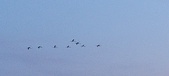 Enlarge photo 207
