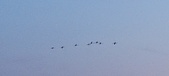 Enlarge photo 209