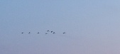 Enlarge photo 210