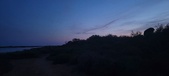 Enlarge photo 213
