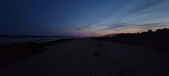 Enlarge photo 217