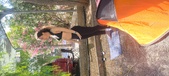 Enlarge photo 260