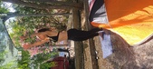 Enlarge photo 263