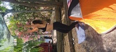 Enlarge photo 521