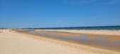 Enlarge photo 264