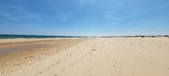Enlarge photo 524