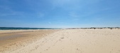 Enlarge photo 268
