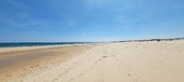Enlarge photo 269
