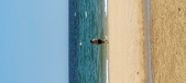 Enlarge photo 526