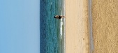 Enlarge photo 527