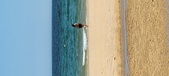 Enlarge photo 531