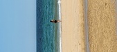 Enlarge photo 530