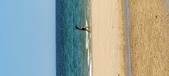 Enlarge photo 528