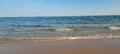 Enlarge photo 280