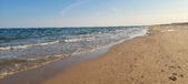 Enlarge photo 281
