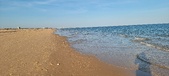 Enlarge photo 282