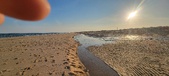 Enlarge photo 283