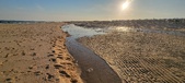 Enlarge photo 284
