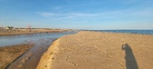 Enlarge photo 287
