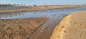 Enlarge photo 289