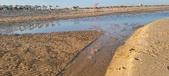 Enlarge photo 291