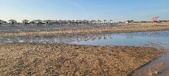 Enlarge photo 292
