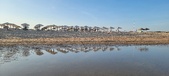 Enlarge photo 295