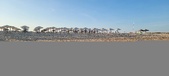 Enlarge photo 296