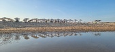 Enlarge photo 298