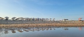 Enlarge photo 297