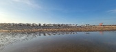 Enlarge photo 299