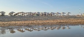 Enlarge photo 303