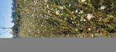 Enlarge photo 310