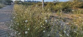 Enlarge photo 313