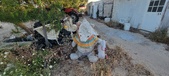 Enlarge photo 322