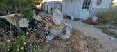 Enlarge photo 325