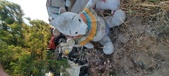 Enlarge photo 329