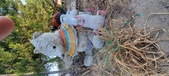 Enlarge photo 331